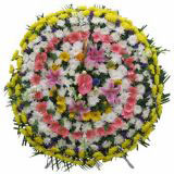 Ӣҵ